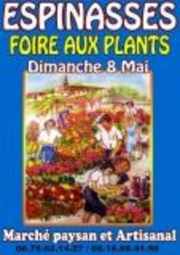 Foire aux plants, marché artisanal et paysan