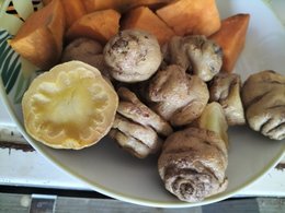 oca du pérou