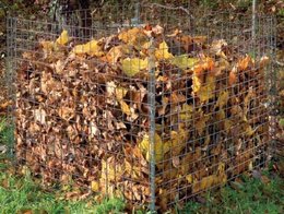 Comment faire un terreau de feuilles ?