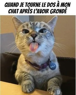 Au  petit coucou amical