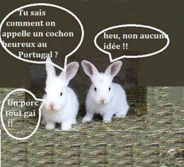 UN PEU D'HUMOUR