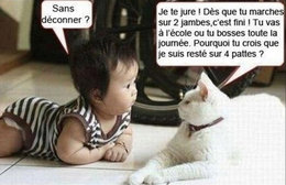 UN PEU D'HUMOUR