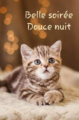 Au  petit coucou amical