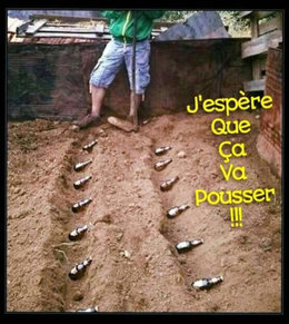 UN PEU D'HUMOUR