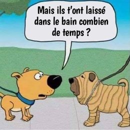 UN PEU D'HUMOUR