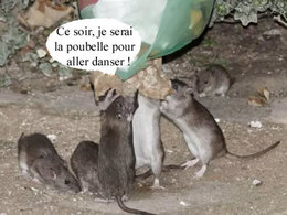 UN PEU D'HUMOUR