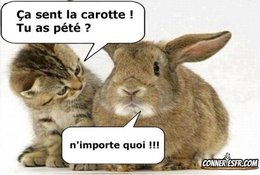 UN PEU D'HUMOUR