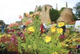 Fête des plantes de Bressuire en Deux Sèvres