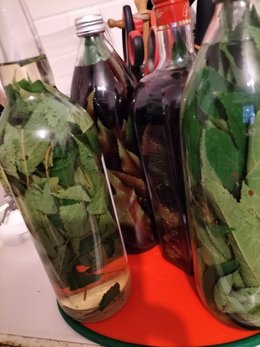 vin de feuilles