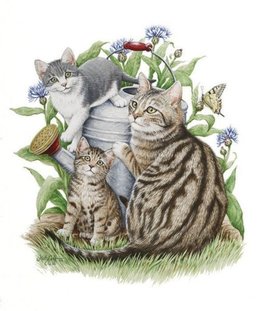 Au  petit coucou amical