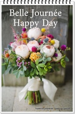 petit bonjour du jour