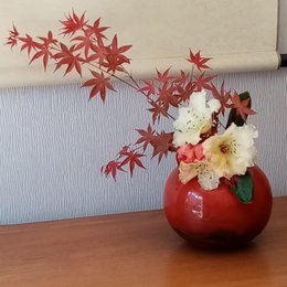 petit bonjour du jour