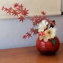 petit bonjour du jour