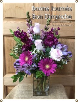 petit bonjour du jour