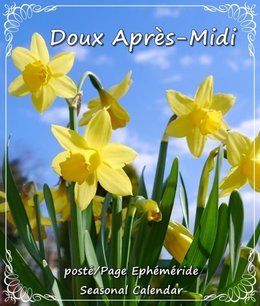 petit bonjour du jour