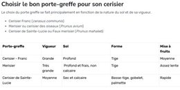 Recherche de greffons de cerisier