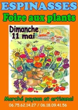 Foire aux plants d'Espinasses (05)