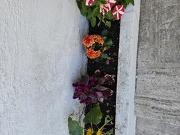 Débutante en 