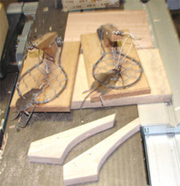 Qui mange mes graines  ?