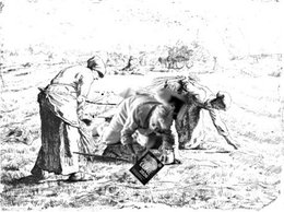 Pr&eacute;sentation de Amen12