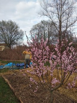 Plan de mon futur jardin