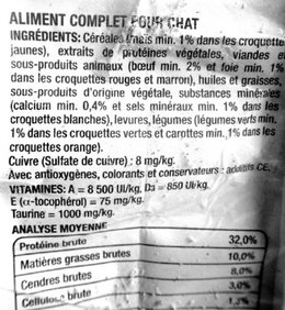 Potager et gamelle du chien