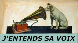 Mauvaise surprise avec mon robinet ext&eacute;rieur ce matin