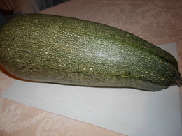 qui connait cette variété de courgette ????