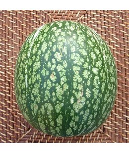 Cet été, avez-vous récolté des melons à confiture ?