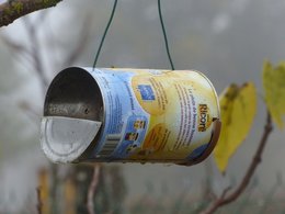 Donnez vous à manger aux oiseaux l'hiver ?