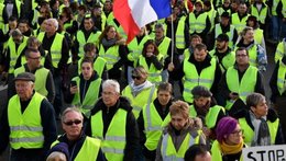 Au  petit coucou amical