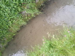 de l'eau a volonter