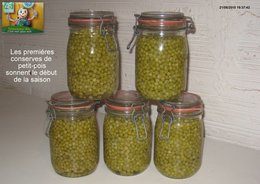 CONSERVES DE PETITS-POIS