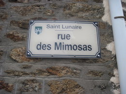 Les plus belles plaques