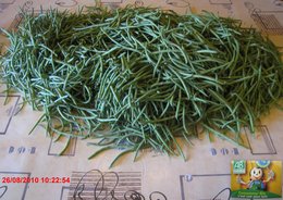 HARICOTS VERTS : OBJECTIF ATTEINT