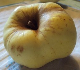 Qui connaît le nom de cette pomme?