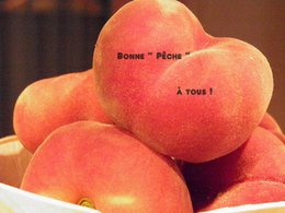 Votre dessert pr&eacute;f&eacute;r&eacute; aux p&ecirc;ches  :