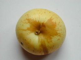 Qui connaît le nom de cette pomme?