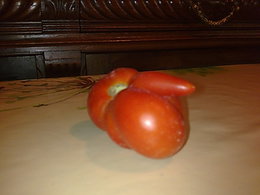 Drole de tomate