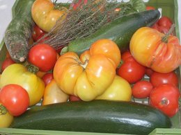 Beau panier de légumes