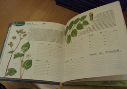 Agendas Jardin 2011, lequel choisir ?