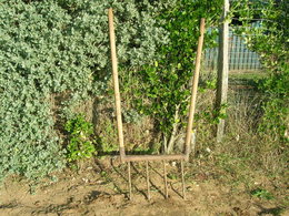 Une Bio fourche