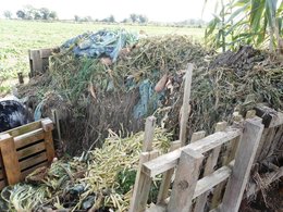 Le compostage et réduction des déchets 