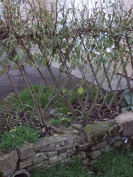 Récup pour le jardin . . . rien ne se perd !