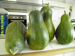 Je ne suis pas qu'une courge . . .