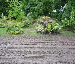 Fête des plantes de Courson