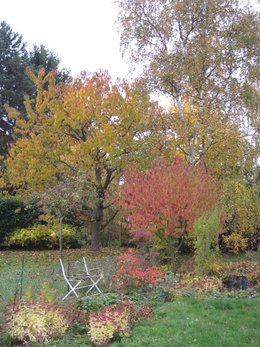 L'automne, ça vous inspire quoi ?