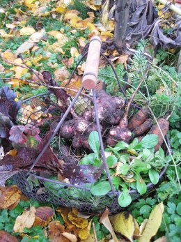 Panier de légumes d'automne