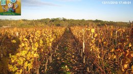 L'automne, ça vous inspire quoi ?