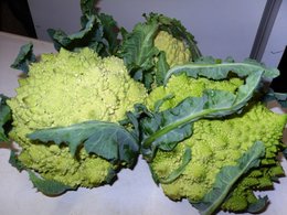 choux  romanesco